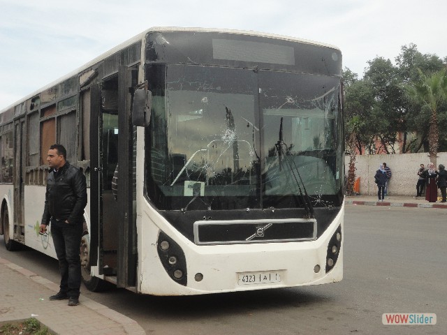 224_Bus Kénitra 224_Bus Kénitra