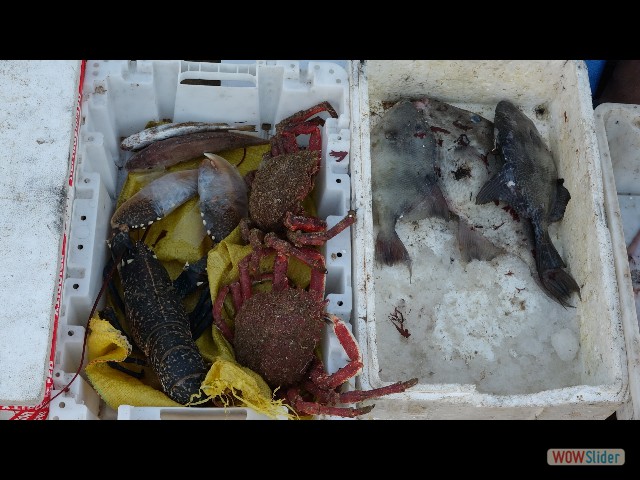 240_Oualidia vendeur de poissons 240_Oualidia vendeur de poissons