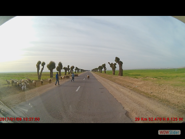 266a_Sur la route 266a_Sur la route