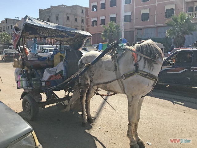 315_Sidi Bibi, stationnement en double file 315_Sidi Bibi, stationnement en double file