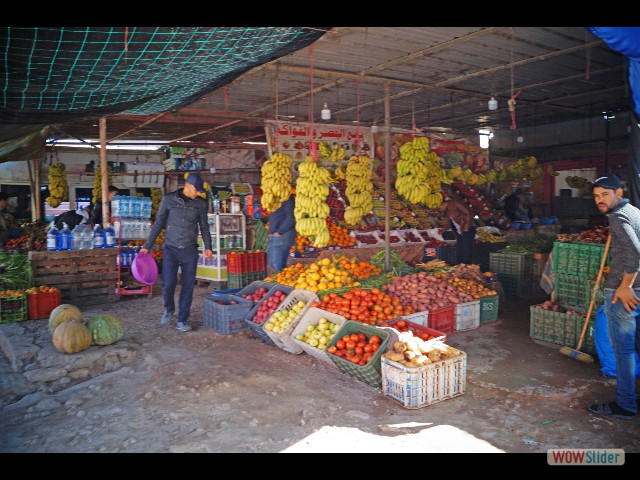 492_Sidi Bibi 492_Sidi Bibi