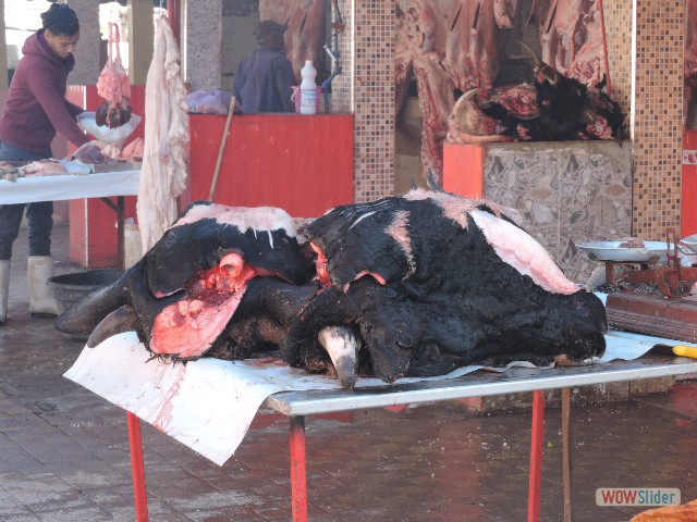 500_Sidi Bibi, souk, tête de boeuf 500_Sidi Bibi, souk, tête de boeuf