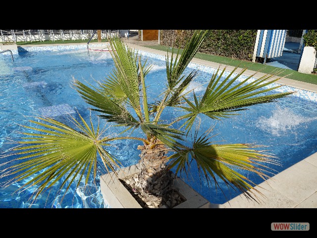 55_Oropesa Del Mar, Camping Didota