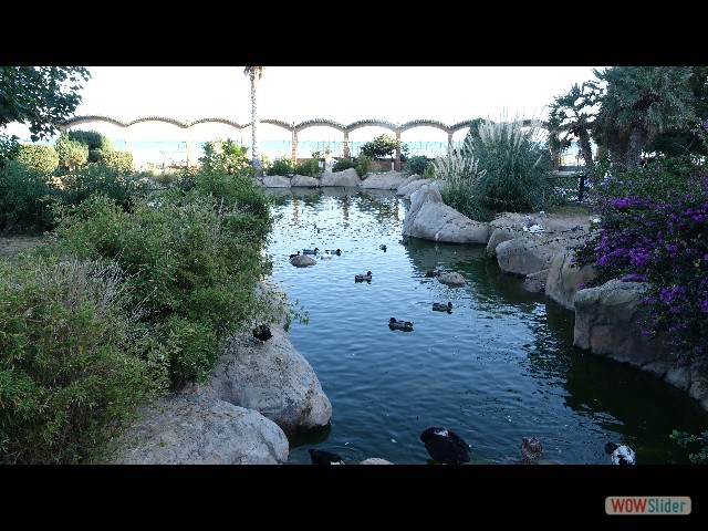 65_Oropesa Del Mar, les jardins