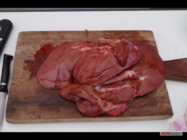 1376_Takat, foie d'agneau