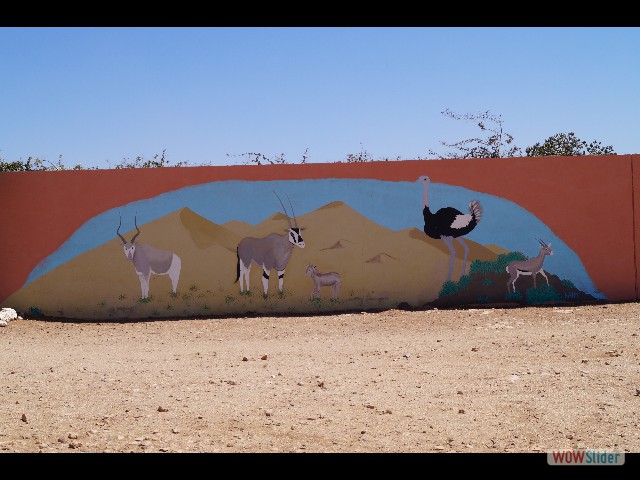 1382_Takat, fresque sur mue