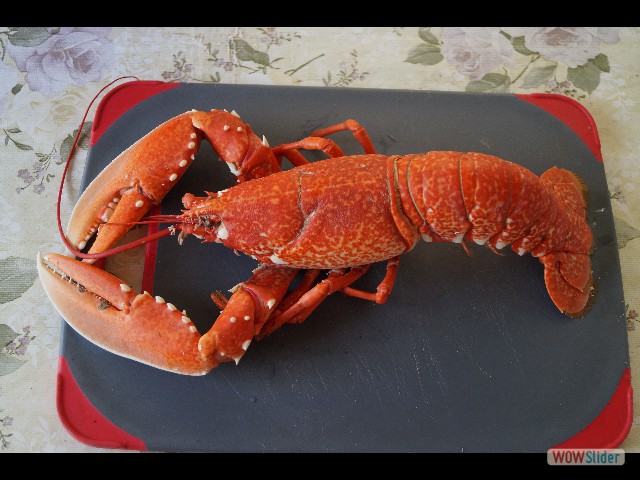 1396_Takat, miam miam