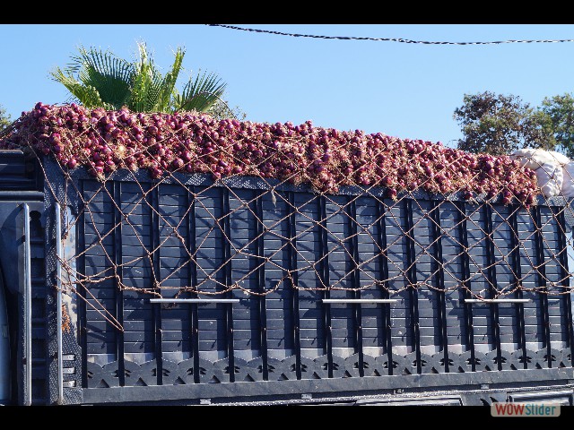 1604_Mohammedia à la station de Bouznika