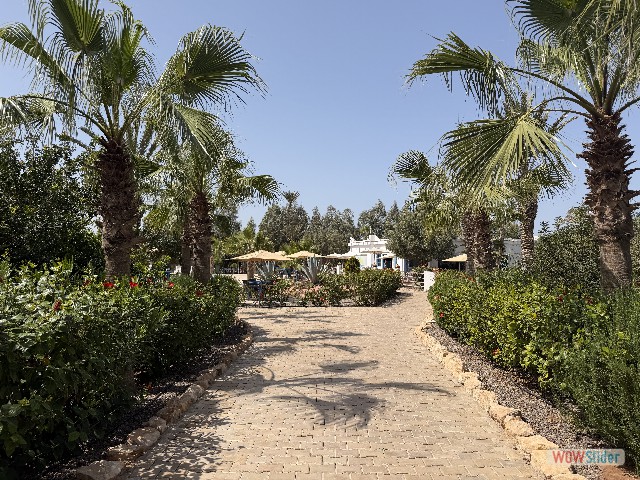 16_Entrée camping la Palmeraie