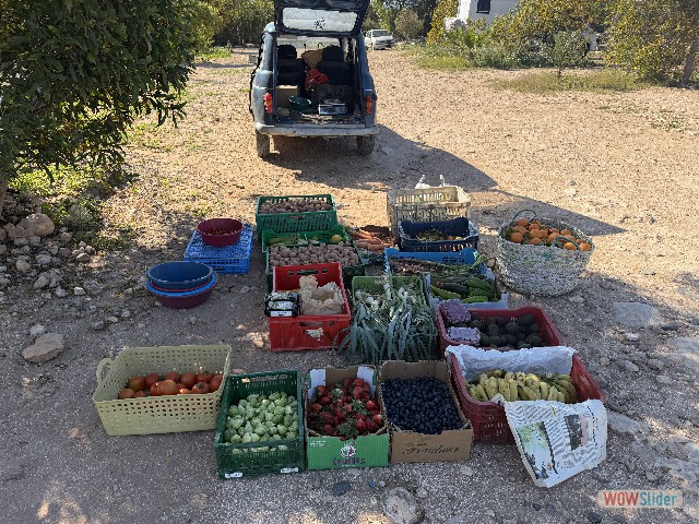 9_Marchand de légumes