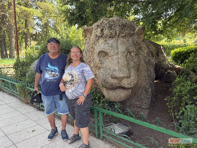 2_Le Lion d'Ifrane 2_Le Lion d'Ifrane