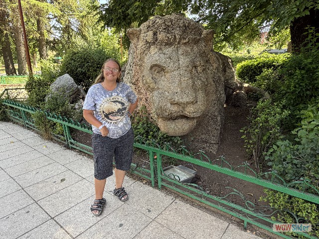 3_Le Lion d'Ifrane 3_Le Lion d'Ifrane