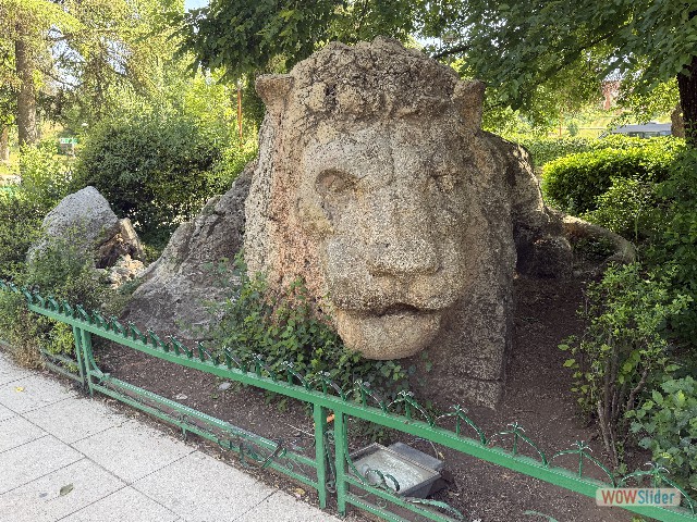 4_Le Lion d'Ifrane 4_Le Lion d'Ifrane