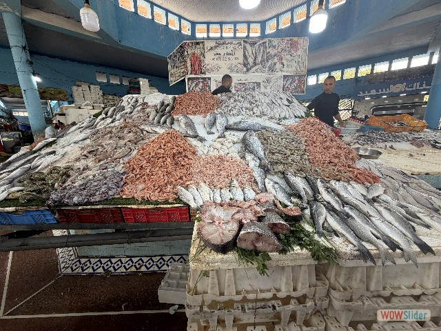07_Kénitra, marché aux poissons