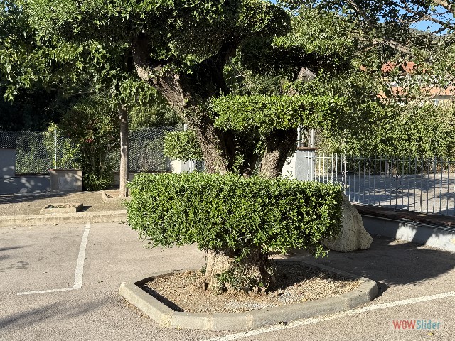 9_La Jonquera 9_La Jonquera