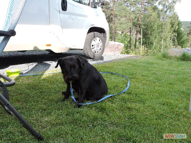 1433_Camping Åmot 1433_Camping Åmot