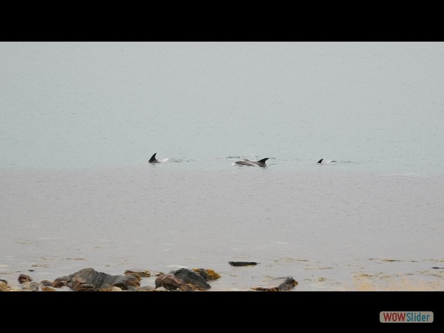 339_Sur la route