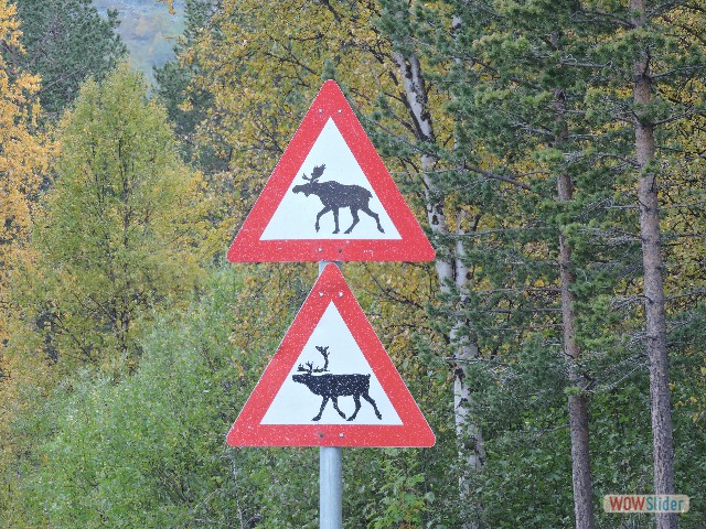 344_Sur la route